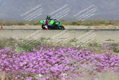 media/Feb-04-2023-SoCal Trackdays (Sat) [[8a776bf2c3]]/Turn 15 Inside Blooming (1050am)/